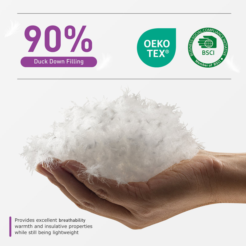 Ebern Designs Javonti Single Duck Down Winter Comforter Duvet Insert